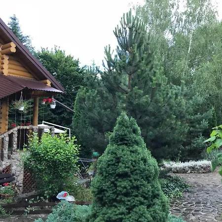 Forest Camp Mygovo *